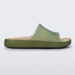 Cloud Slide Tarsila do Amaral Melissa Green